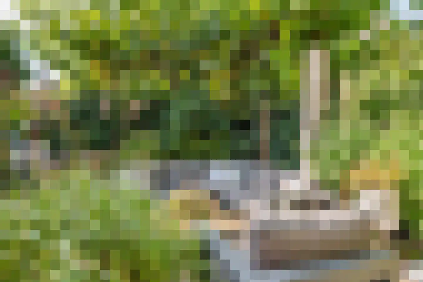 Marene 6 Tiel thumbnail 43