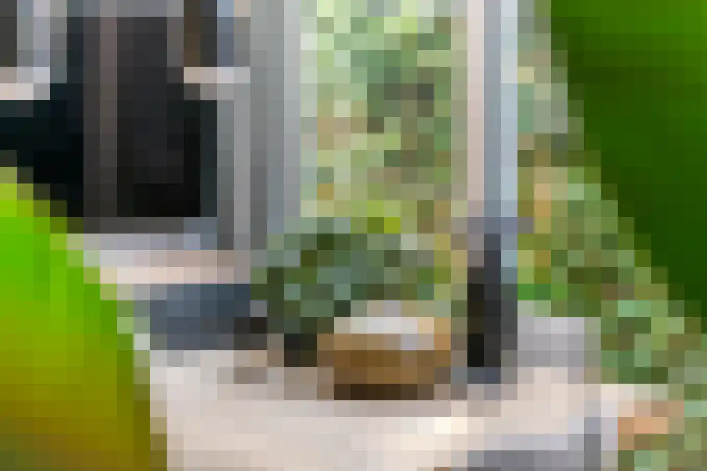 Marene 6 Tiel thumbnail 46