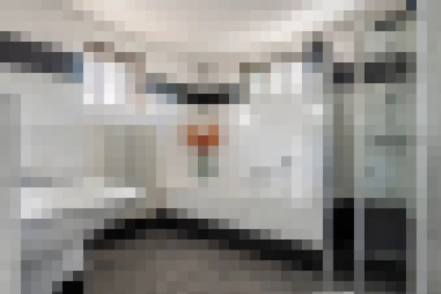 Marene 6 Tiel thumbnail 59