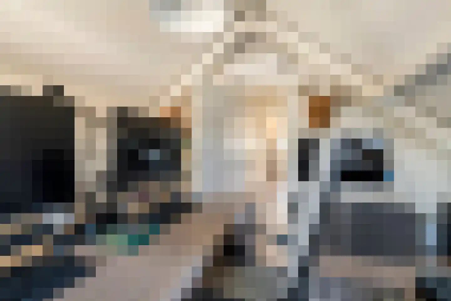 Marene 6 Tiel thumbnail 67