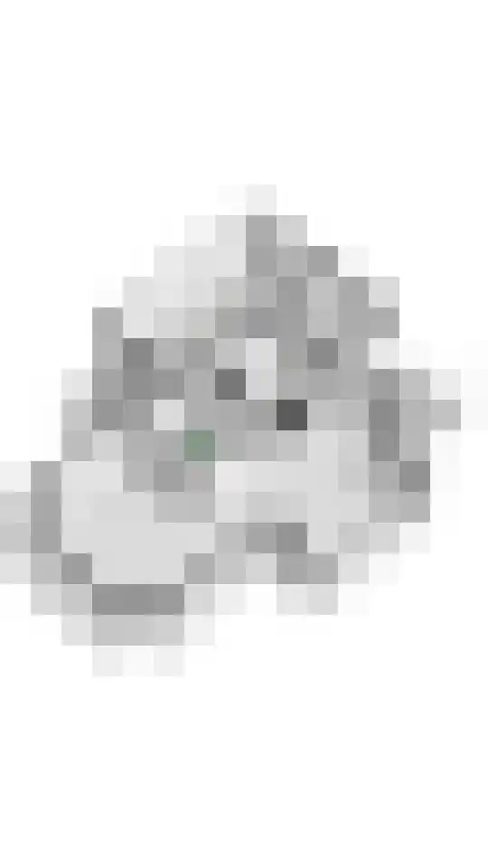 Marene 6 Tiel thumbnail 73