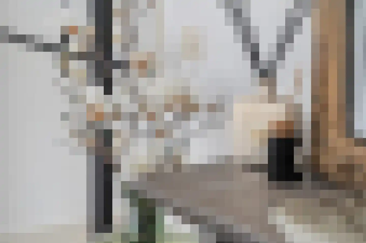 Marene 9 Tiel thumbnail 11