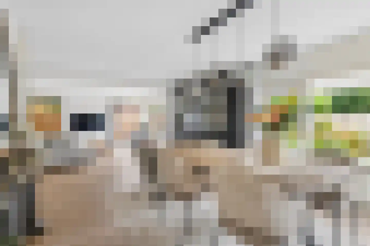 Marene 9 Tiel thumbnail 12