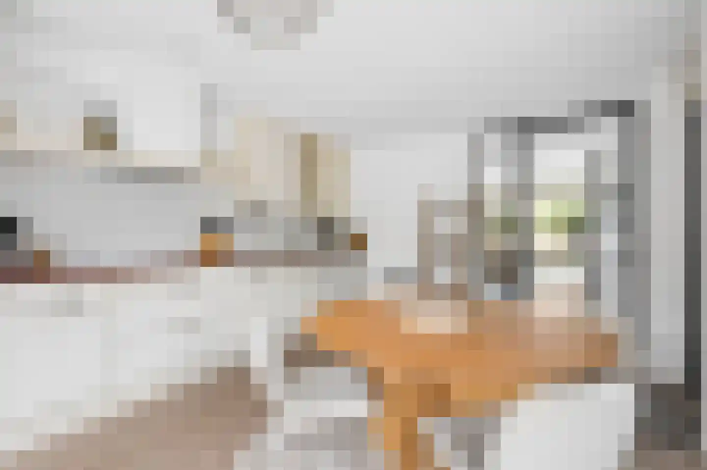 Marene 9 Tiel thumbnail 16