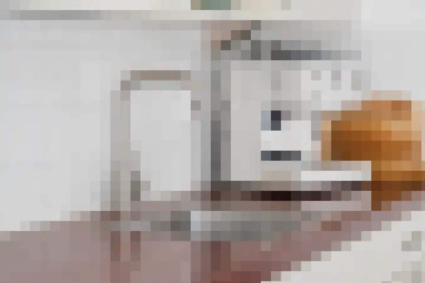 Marene 9 Tiel thumbnail 18
