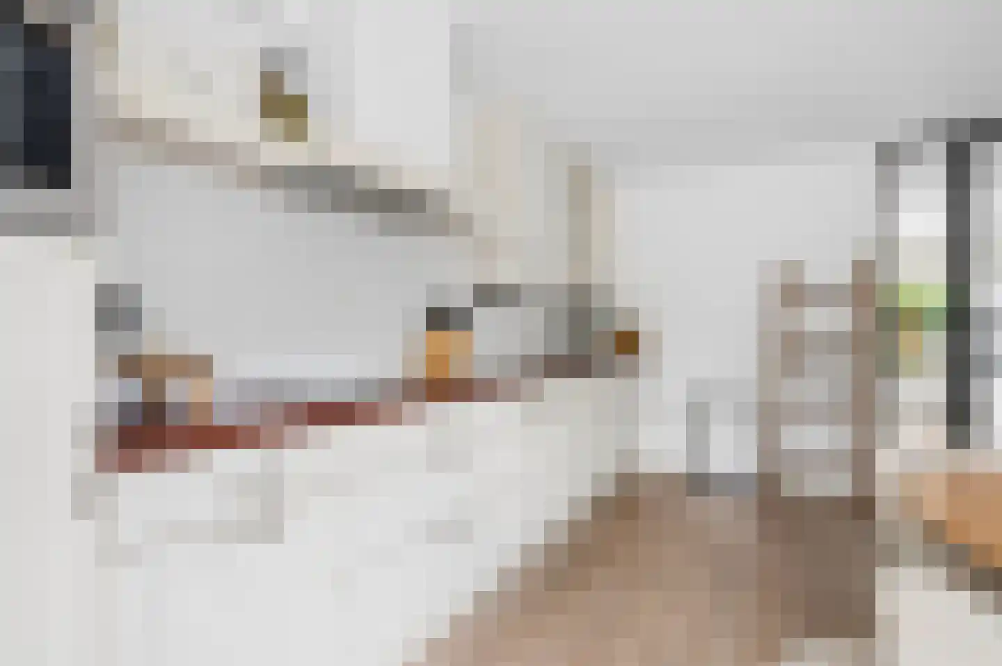 Marene 9 Tiel thumbnail 19