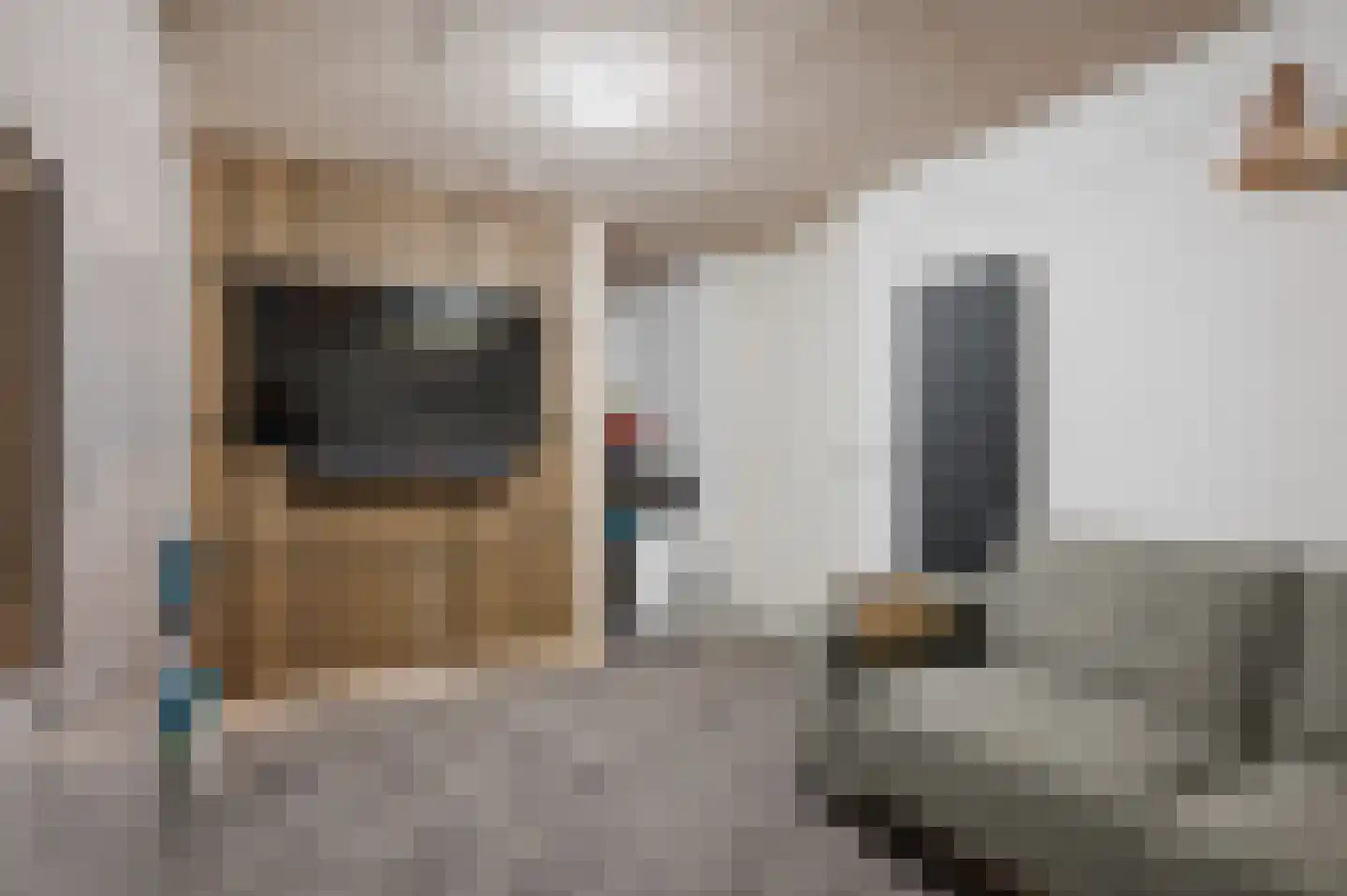 Marene 9 Tiel thumbnail 22