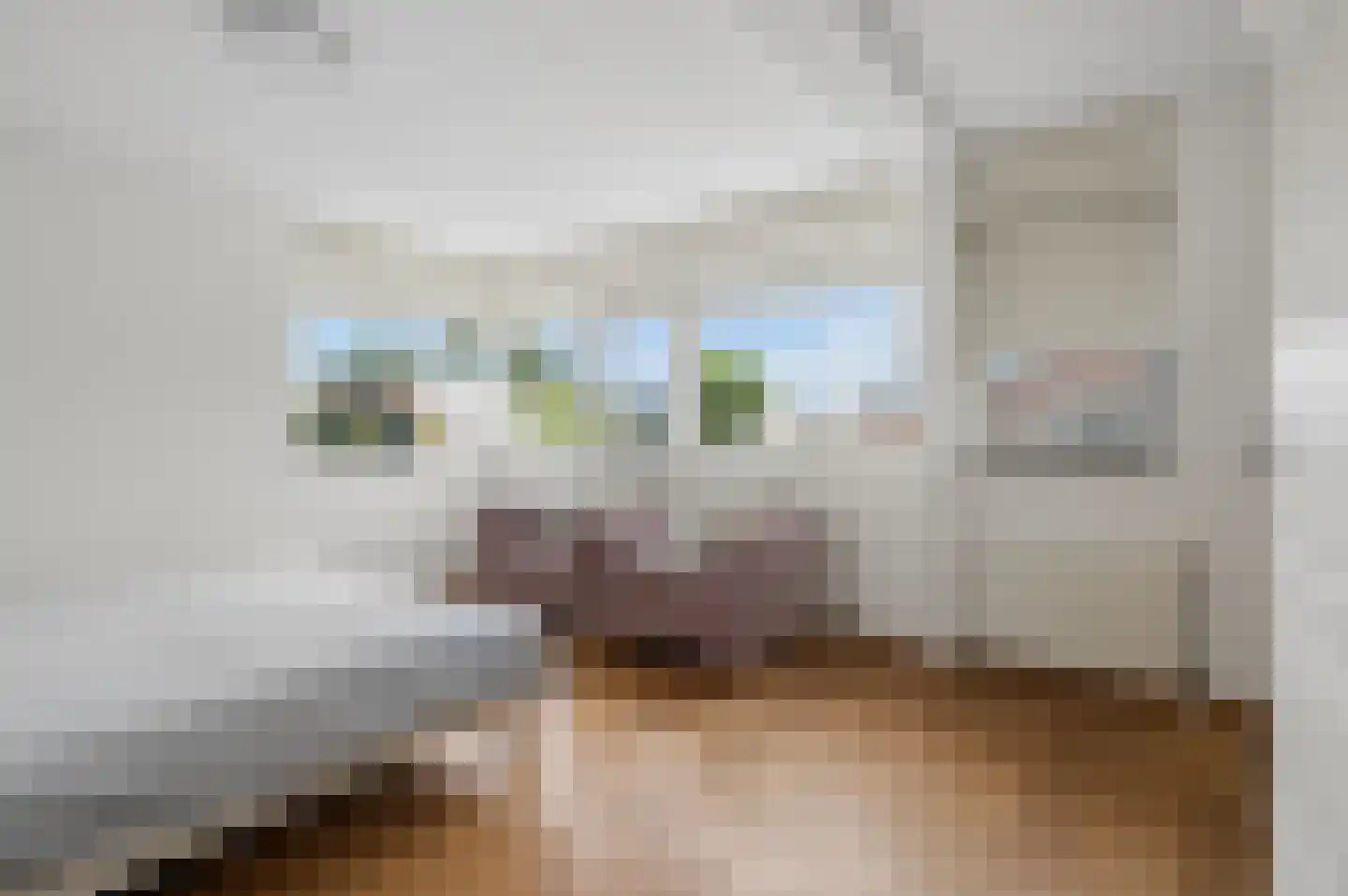 Marene 9 Tiel thumbnail 25