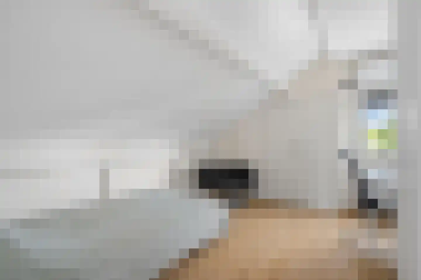 Marene 9 Tiel thumbnail 30