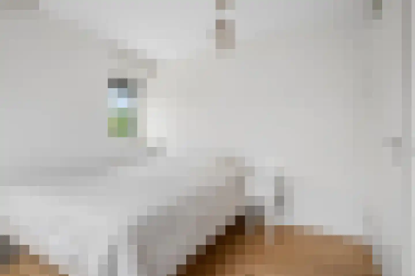 Marene 9 Tiel thumbnail 33