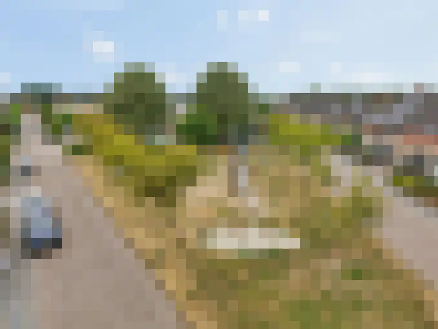 Marene 9 Tiel thumbnail 52
