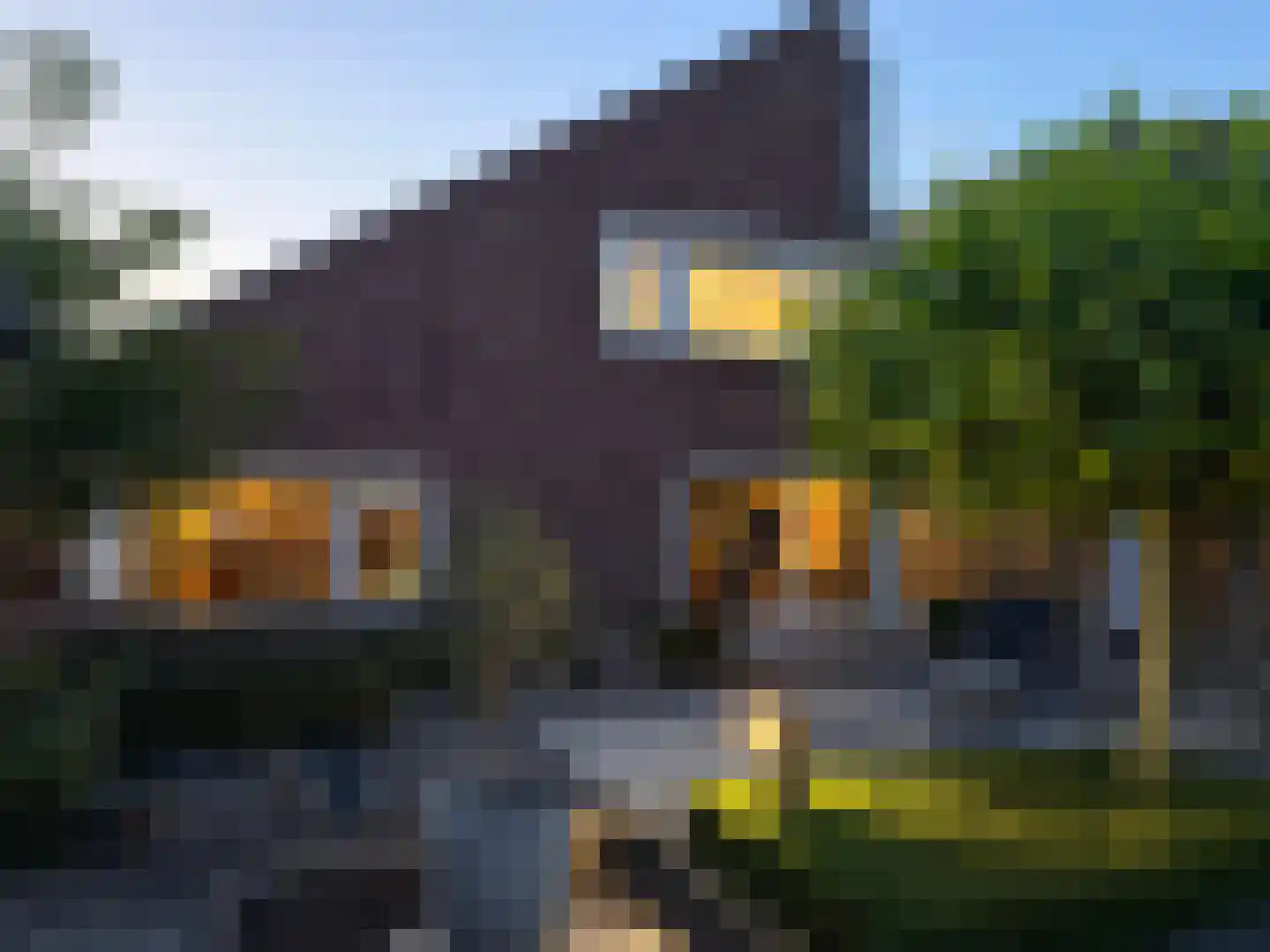 Marene 9 Tiel thumbnail 7