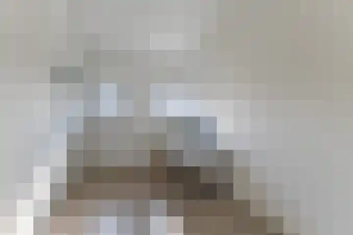Marenesingel 5 Avenhorn thumbnail 18