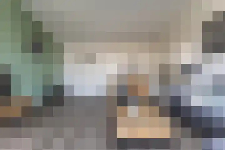 Marenesingel 5 Avenhorn thumbnail 30