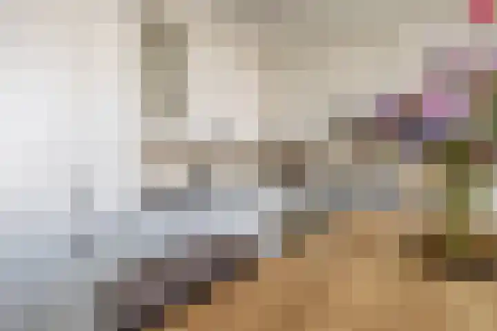Marenesingel 5 Avenhorn thumbnail 34
