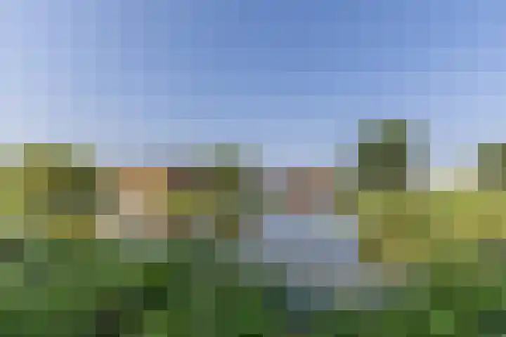 Marenesingel 5 Avenhorn thumbnail 43