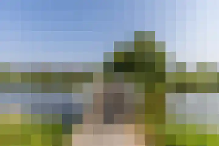 Marenesingel 5 Avenhorn thumbnail 44