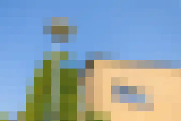 Marenesingel 5 Avenhorn thumbnail 45