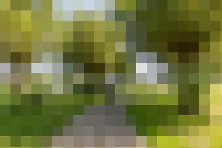 Marenesingel 5 Avenhorn thumbnail 46