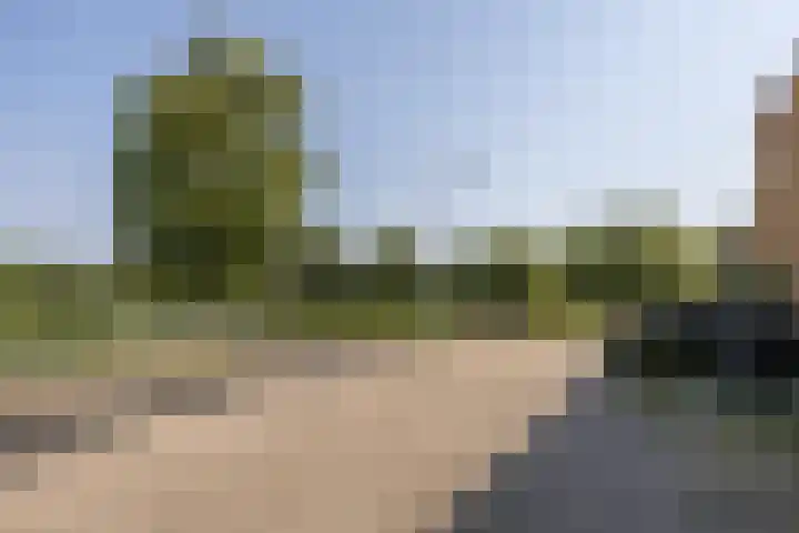 Marenesingel 5 Avenhorn thumbnail 47