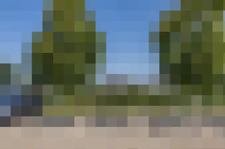 Marenesingel 5 Avenhorn thumbnail 48