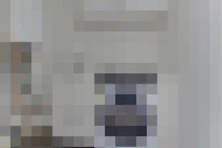 Marenesingel 7 Avenhorn thumbnail 15