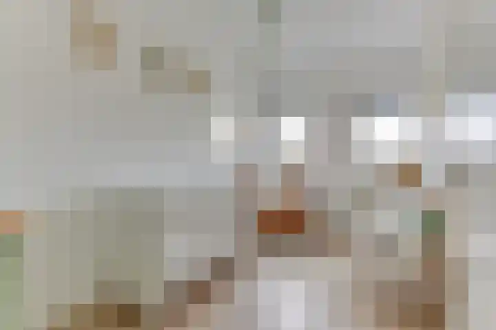 Marenesingel 7 Avenhorn thumbnail 19
