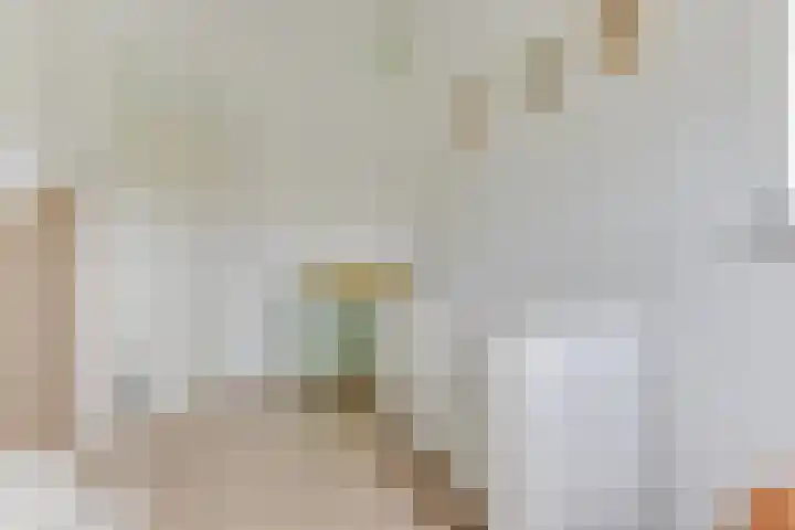 Marenesingel 7 Avenhorn thumbnail 21