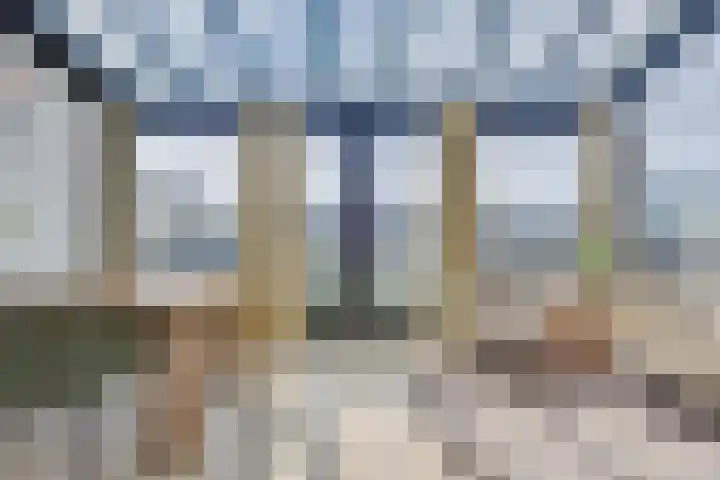 Marenesingel 7 Avenhorn thumbnail 36