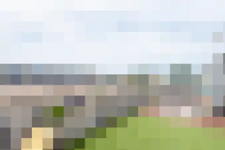 Marenesingel 7 Avenhorn thumbnail 5