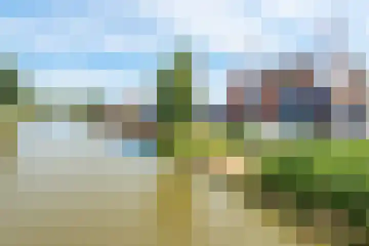 Marenesingel 7 Avenhorn thumbnail 50