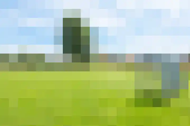 Marenesingel 7 Avenhorn thumbnail 53