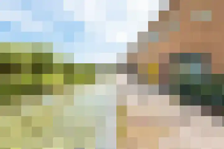 Marenesingel 7 Avenhorn thumbnail 7