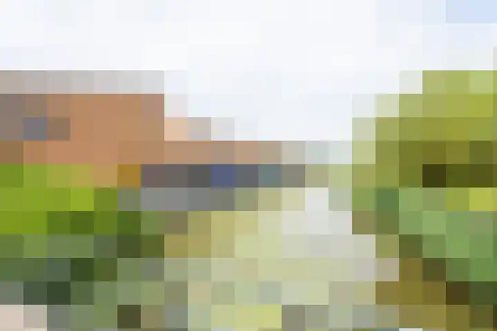 Marenesingel 7 Avenhorn thumbnail 8