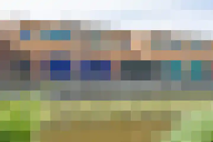 Marenesingel 7 Avenhorn thumbnail 9