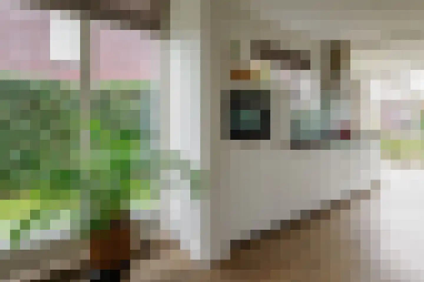 Marenestraat 13 Hengelo thumbnail 15