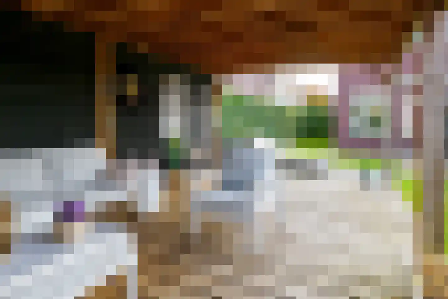 Marenestraat 13 Hengelo thumbnail 44