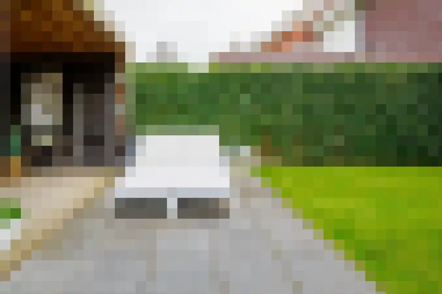 Marenestraat 13 Hengelo thumbnail 45