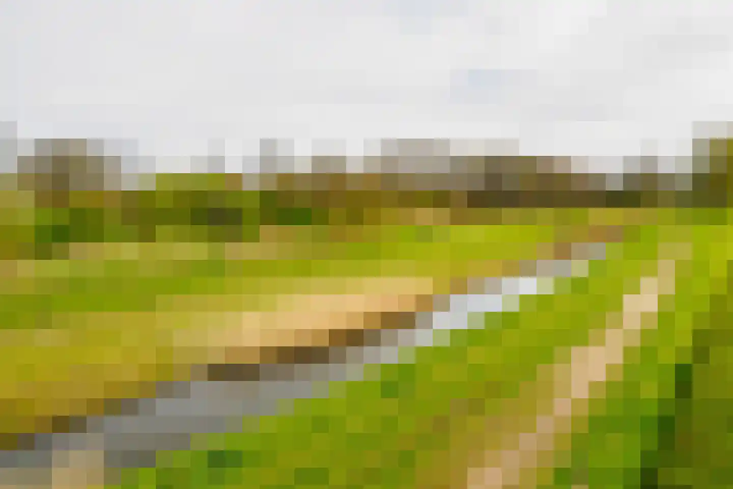 Marenestraat 13 Hengelo thumbnail 54