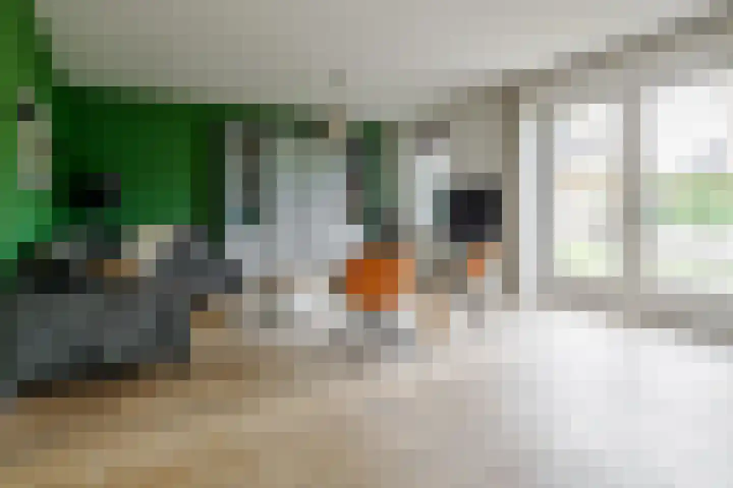 Marenestraat 13 Hengelo thumbnail 7