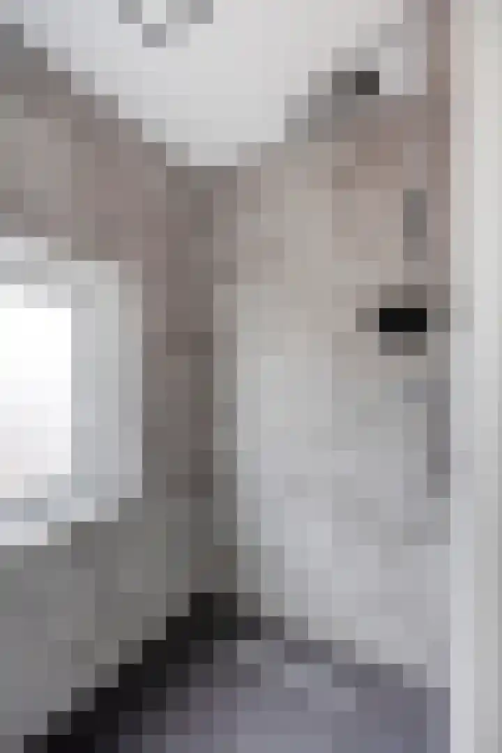 Marengostraat 8 Tilburg thumbnail 19