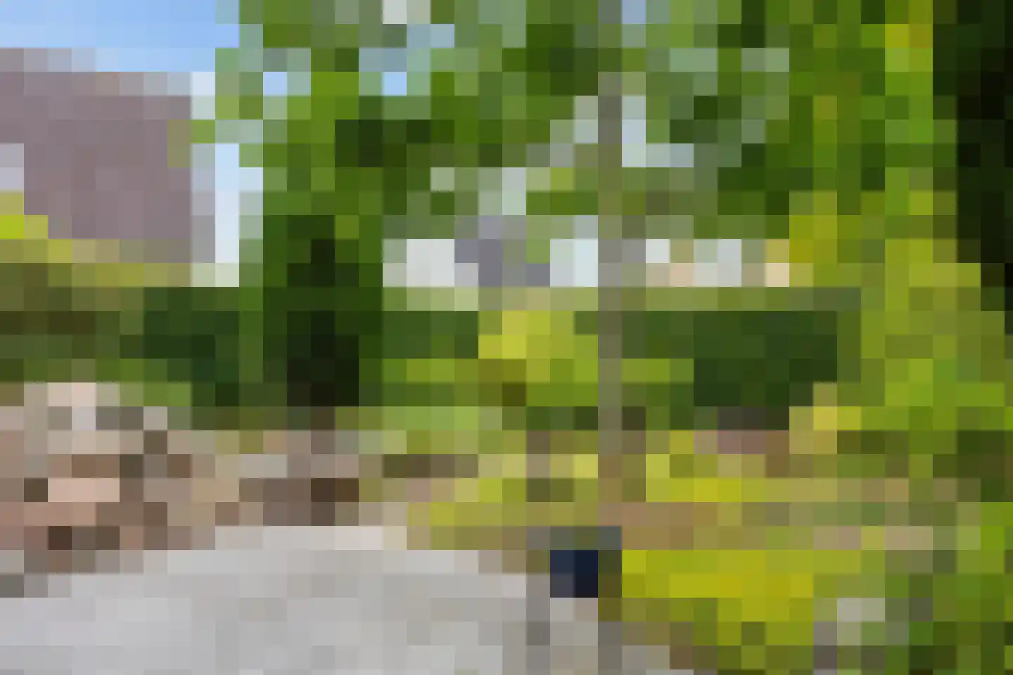 Marenhof 4 Eenrum thumbnail 28