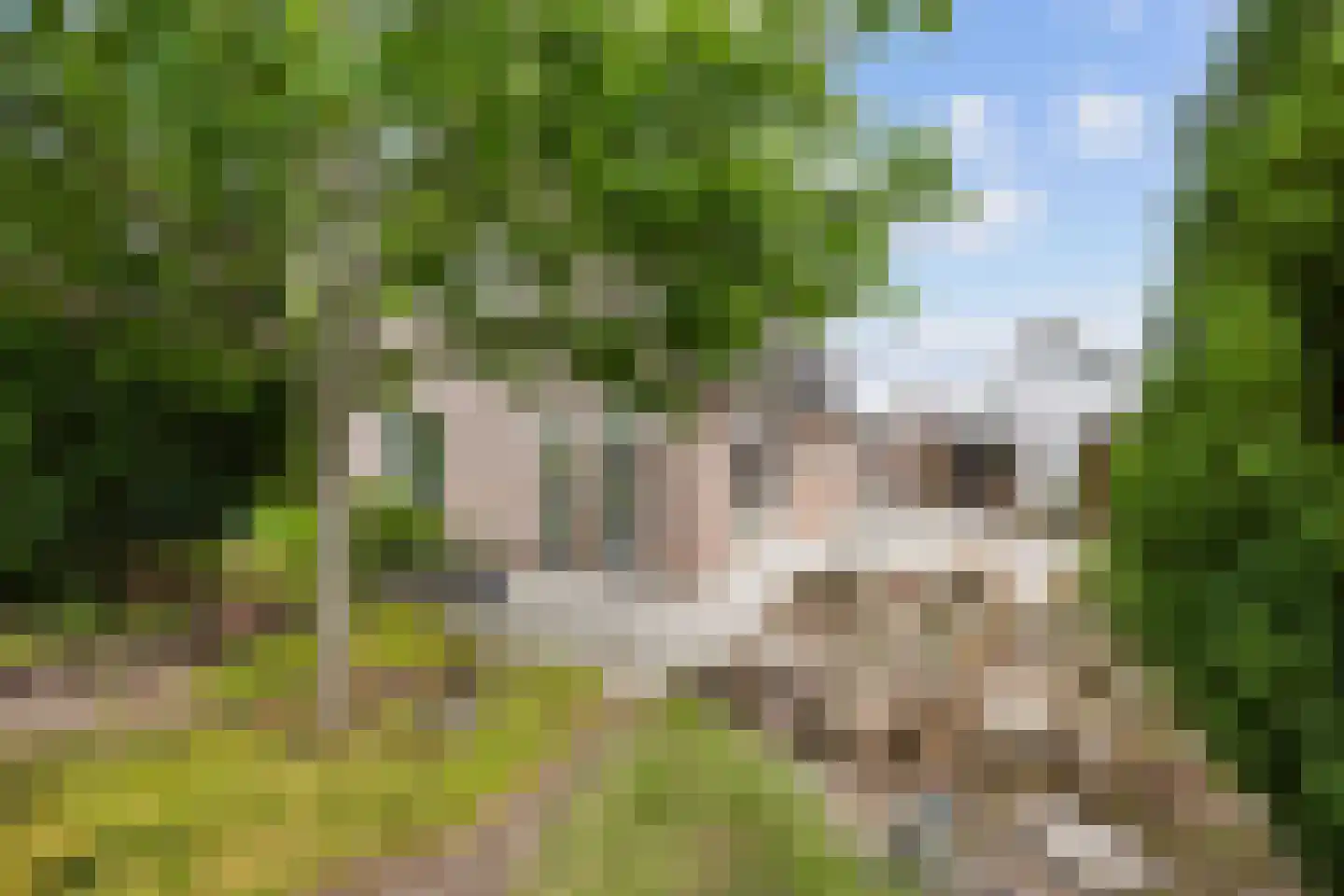 Marenhof 4 Eenrum thumbnail 29
