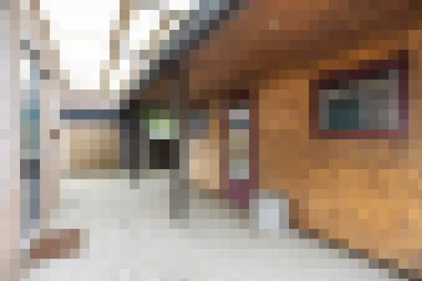Marenhof 4 Eenrum thumbnail 30