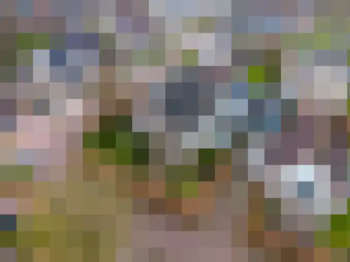 Marenhof 4 Eenrum thumbnail 5