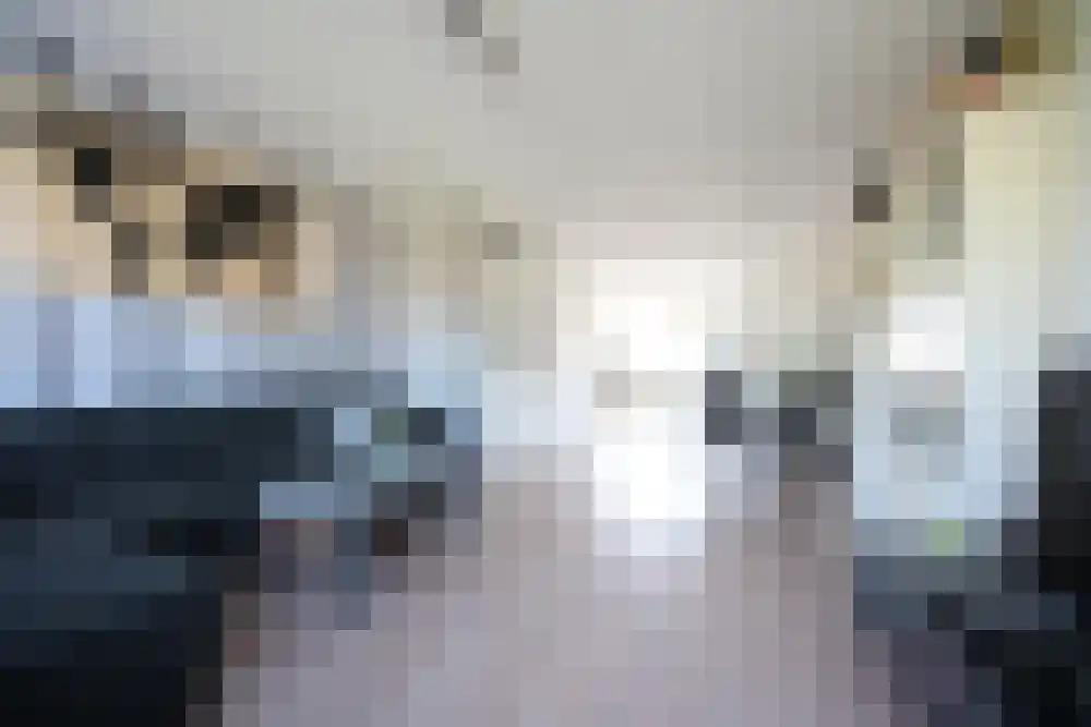 Marepoortkade 19 Leiden thumbnail 8