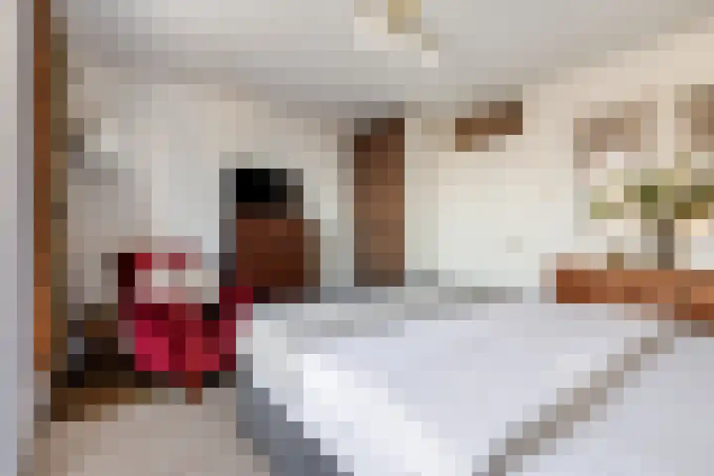Marepoortkade 26 Leiden thumbnail 15
