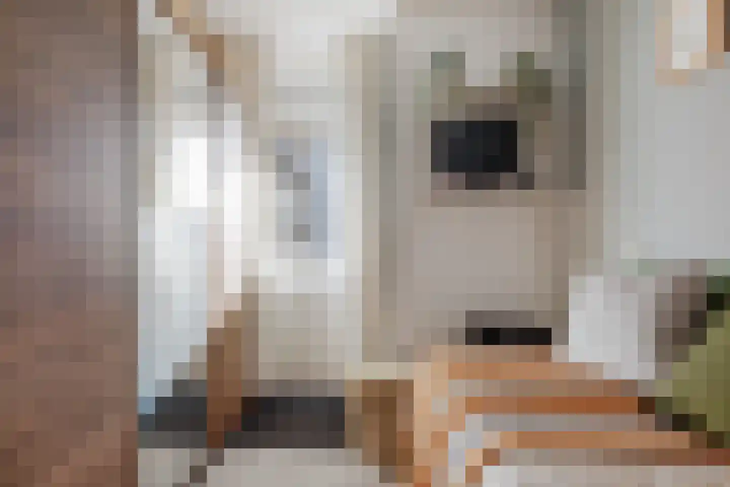 Marepoortkade 26 Leiden thumbnail 16