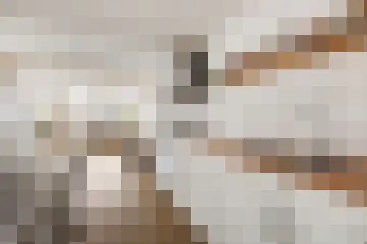 Marepoortkade 33 Leiden thumbnail 10