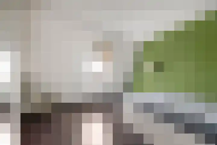 Marepoortkade 33 Leiden thumbnail 11